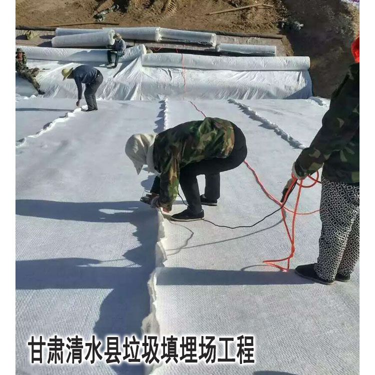 甘肅清水(shuǐ)垃圾填埋(mai)場